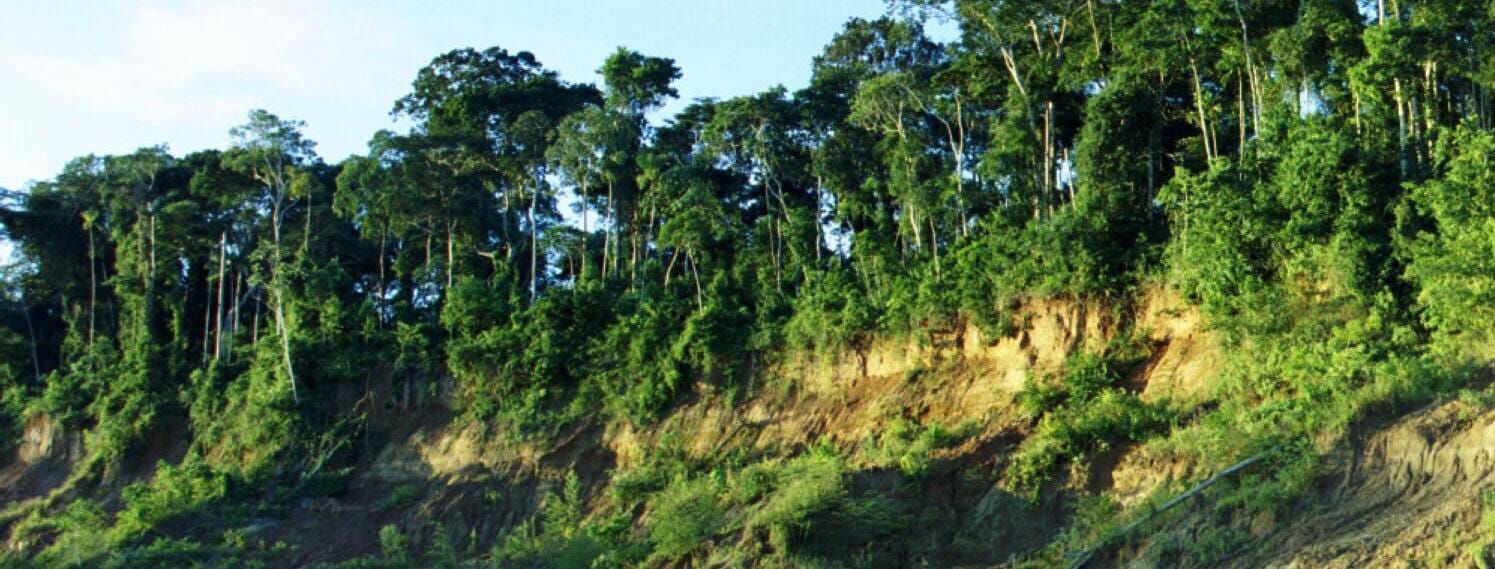 tambopata.jpg
